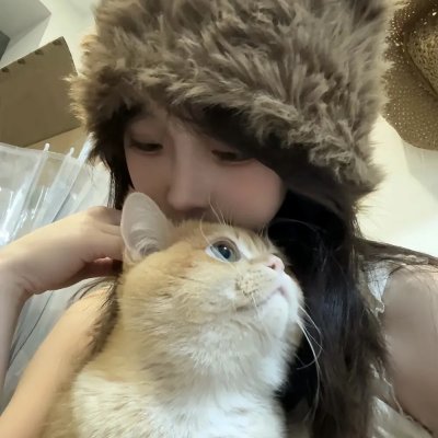 琼楼飞燕